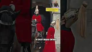 Лошадь укусила мальчика 😢