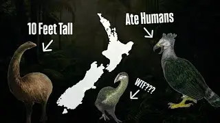 Why New Zealand’s Ancient Birds Were Cooler Than Dinosaurs?!?!?