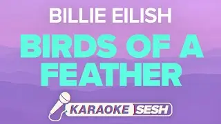 Billie Eilish - BIRDS OF A FEATHER (Karaoke)