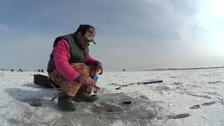 Ловля воблы на безмотылку. Часть третья.
