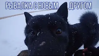 Рыбалка на Ладоге. Перекус у костра. Новый друг. Рыбалка не магазин(2)