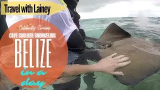 Caye Caulker Belize with Sharks, Rays, Frigatebirds, Tarpin, Conch and Belize Barrier Reef