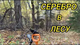 серебро в лесу. коп по старине. сезон 2024.