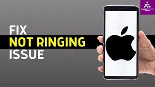 How to Fix iPhone not Ringing for incoming Calls!