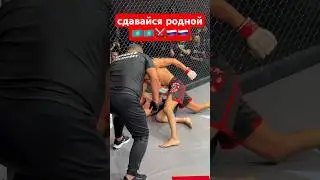 🙀 сдавайся родной💀 #mma #kazmma #мма #ufc #бокс #бои #бой #юфс #спорт #sports