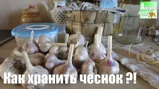 Как сохранить ЧЕСНОК. Все тайны! / All about garlic storage