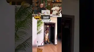 ПОПРОБУЙ НЕ ЗАСМЕЯТЬСЯ!! АБСОЛЮТНЫЙ УГАР 😂😅 @КомментШоу‬