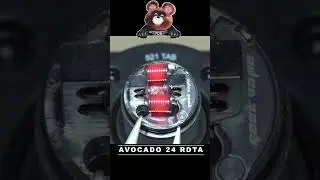 Намотка AVOCADO 24 RDTA