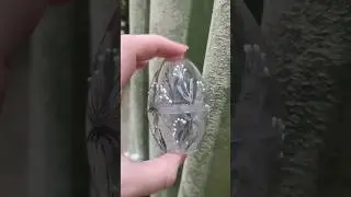 Фикс прайс покупка🌿Пасхальный декор