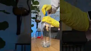 Qui facciamo volare i palloncini con dei metodi un po' alternativi. 