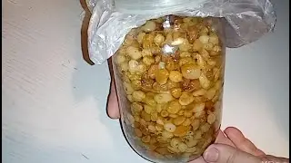 ИЗЮМ В УКСУСЕ - очистит сосуды и подарит молодость вашему организму. Китайское народное средство