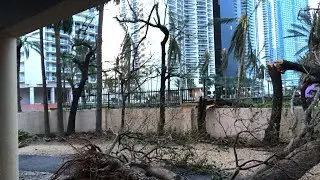 Ураган в Майами прошол.мы выжили