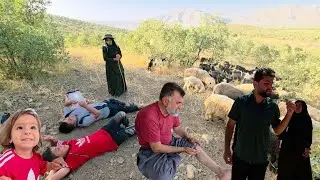 A contentious day on the Peren Canal. Shirvan and Mahdi's dispute over taking the goats to pasture