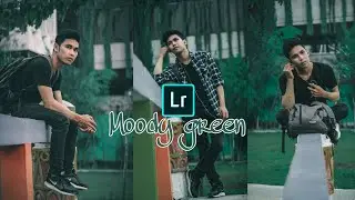Lightroom CC mobile - Edit Photo Moody Green