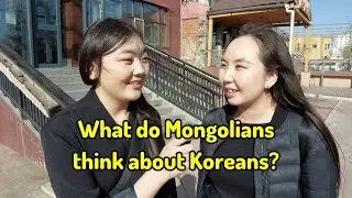 What Do Mongolians think about Koreans