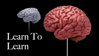Learning to learn is a superpower