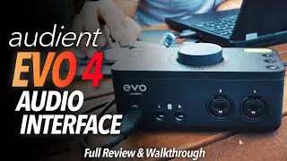 Audient EVO 4 - The BEST Low Cost AUDIO INTERFACE