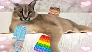 Шлёпа рассказывает анекдот про поп ит