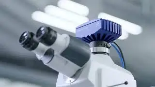 ZEISS Technical Cleanliness Solutions AI Based Object Classification