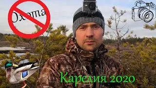 КАК Я ПРОВЕЛ ВЕСЕННЮЮ ОХОТУ 2020/САМОИЗОЛЯЦИЯ В ЛЕСУ 