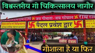 विश्व स्तरीय गौ चिकित्सालय | India biggest Goshala 😲😲