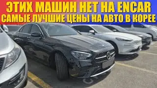 Крупнейший аукцион авто в Корее. Доллар падает - цены поражают. Лучшая подборка на конец марта 2025