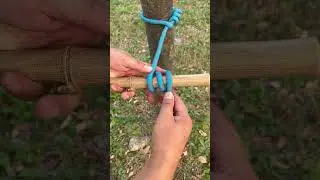 Essential Knots You Need To Know - Most Useful Knots In Life #shorts