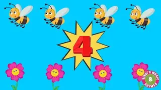 Number 4 Song | Learn Counting - Nursery Rhymes for kids | Bindi's Music & Rhymes