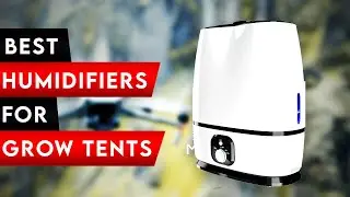 Top 5 Best Humidifiers For 5x5 Grow Tents In 2024! ✅