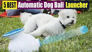 Best Automatic Dog Ball Launcher Of 2023