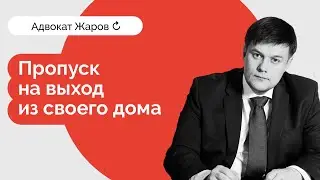 Пропуск на выход из дома. Бессмысленный и беспощадный! (12.04.2020)