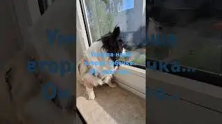 Он ждёт...