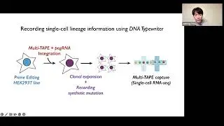 [Junhong Choi] Molecular recording using precision genome editing