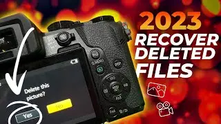 2023 How to recover deleted files on Windows 11 with top data recovery software 4DDiG