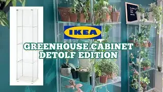 IKEA GREENHOUSE GLASS CABINET FOR INDOOR PLANTS (DETOLF EDITION)