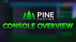 Console Overview | Pine Hosting