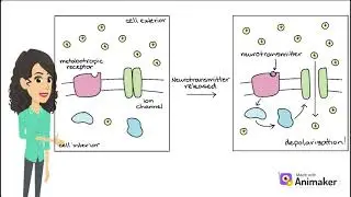 GPCRs Unraveled