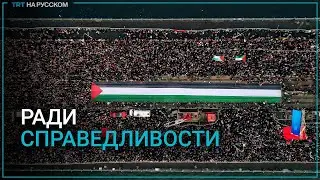 Билал Эрдоган: мы не можем оставаться равнодушными