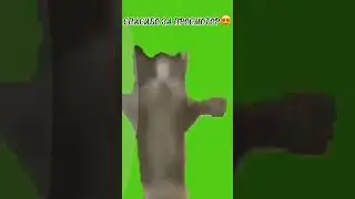 да 