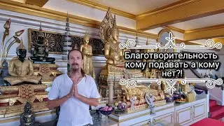 Вселенная вознаграждает. Благотворительность. Разбираемся что это такое и как в ней участвовать.