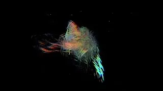 Shlohmo - Thing I lost (Visualized)