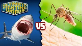 SHARK vs MOSQUITO: Whose Bite is Worse? | ULTIMATE FIGHTING WORDS