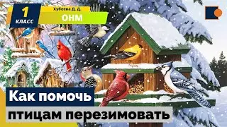 Как помочь птицам перезимовать.  Окружающий нас мир 1 класс