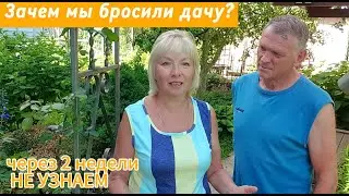 БРОСИЛИ ДАЧУ на две недели Сами в шоке .СУПЕР УРОЖАЙ уже в июне  БЕЗ УХОДА