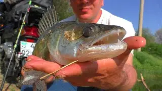 WHEN THE FISH DOESN'T BITE I FISH LIKE THIS! Fishing with different gear in different places.