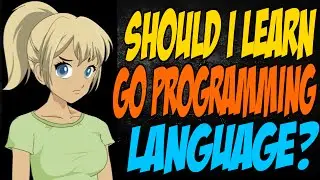 Should I Learn Go Programming Language?