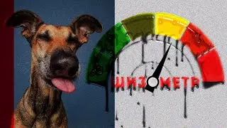 В представлении не нуждается