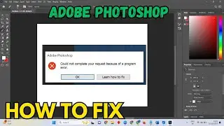 Could Not Complete Your Request Because of a Program Error