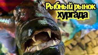 ЕГИПЕТ РЫБНЫЙ РЫНОК ХУРГАДЫ ПРОГУЛКА Часть 2