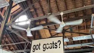 Ceiling Fans at the New York State Fair